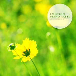 치유의 봄 하늘