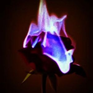 花之舞（钢琴版）