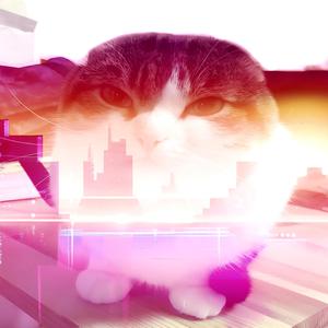 synthwawa 2