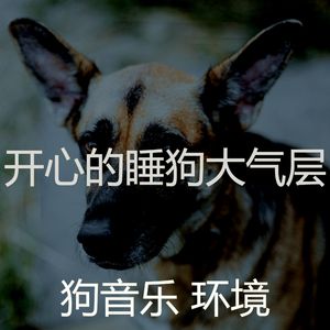 一尘不染可爱的狗印象数