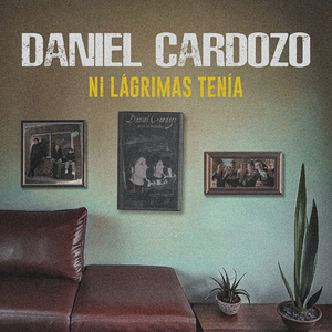 Como yo nadie te ha amado