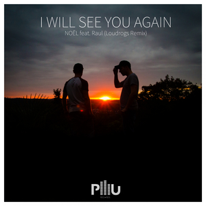 I Will See You Again (Loudrogs Remix Radio Edit)