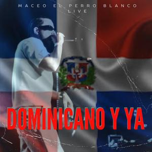 dominicano y ya (live)