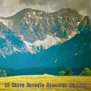 环境自然白噪声