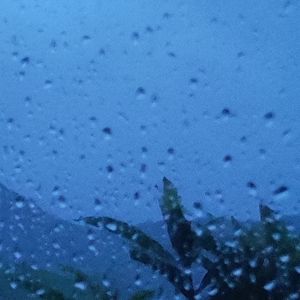 乡恋（吉他弹唱）（翻自 李谷一）