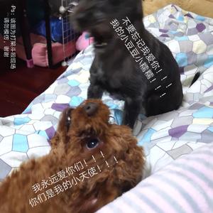 不要忘记我爱你