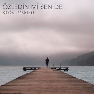 Özledin mi Sen de?