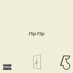 Flip Flip