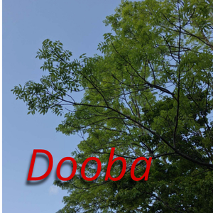 Dooba