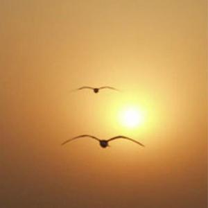 忆潇(prod by CARIO)