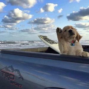 青春修炼手册＋个人简介