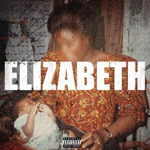 Brick By Brick (feat. A9Nikz)
