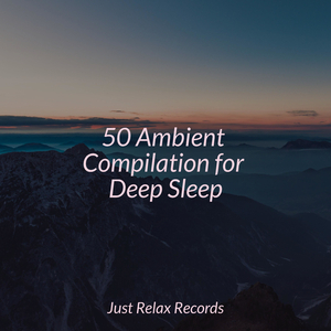 Vitality's Melodic Renewal