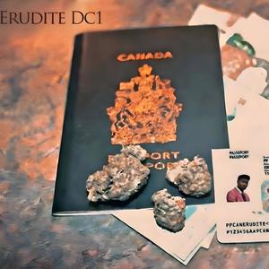 Canadian (feat. Gasky & Richy)