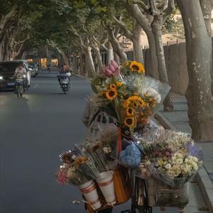 手势舞 （dy热播BGM）