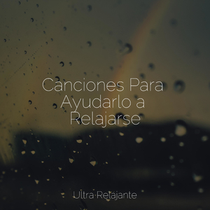 Conduciendo