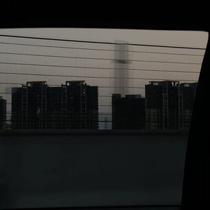 沉沦与遐想+花花公子