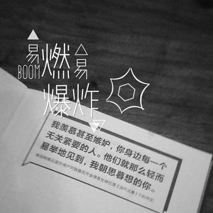 易燃易爆炸（Cover：枫宇辰）