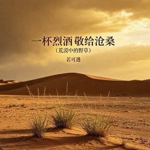 一杯烈酒敬给沧桑（荒漠中的野草）