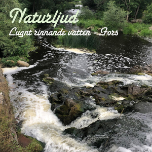 Lugnt Rinnande Vatten - Fors