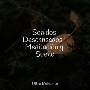 Cielos Altísimos