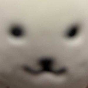 何