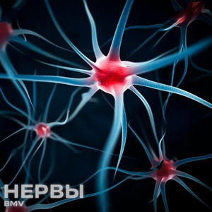 Нервы
