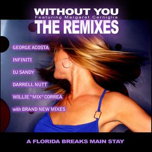 Without You (Groove-a-delic Mix)