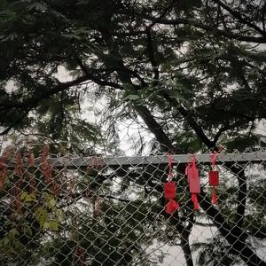 然后，去流放。