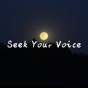 寻找着你的声音