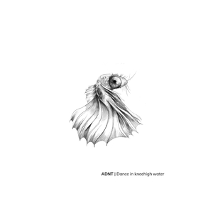 Dance in Knee High Water