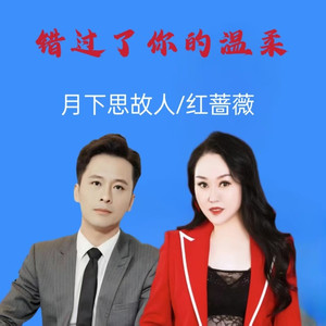 错过了你的温柔 (DJ何鹏版)