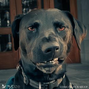 Quote ("It's Not Like We Were Ever")