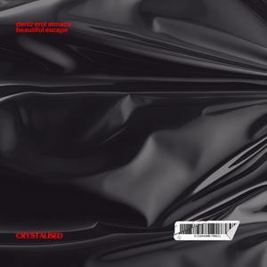 Crystalised (feat. Ali Naci Temel & Beautiful Escape)