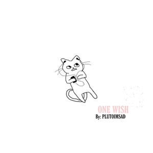 One wish