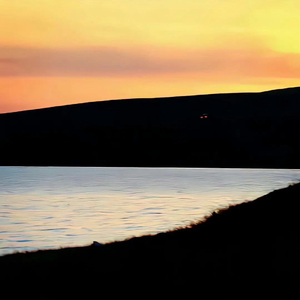 达尔文（治愈女生版）