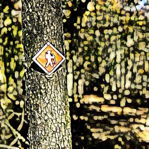 Certainty Securely