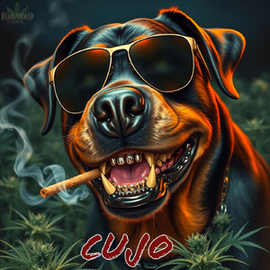 Cujo