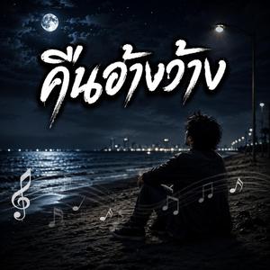 คืนอ้างว้าง, คืนฝนพรำ, คืนที่คิดถึง, คืนที่ไม่มีใคร