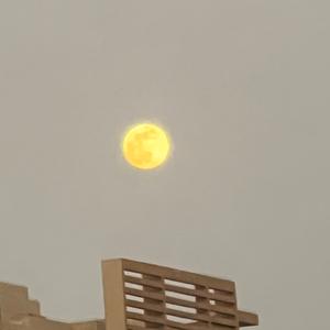 没有人像白纸一样 没有故事