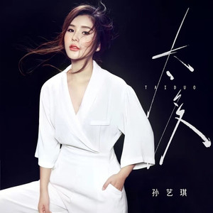 太多 (DJ九零版)