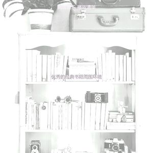 抚慰的小说回忆