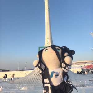 光，奇迹与浪漫主义