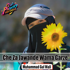 Che Za Jawande Wama Garze