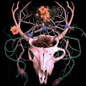 Die Nasty (feat. Guru Doug)