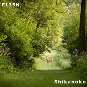 Shikanoko （Extended Mix）