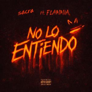 No lo entiendo (feat. Flammia)