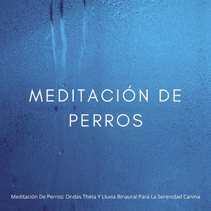 Meditación De Equilibrio Interno