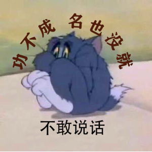 功不成，名也没就