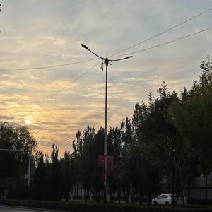 《快乐的扑满》